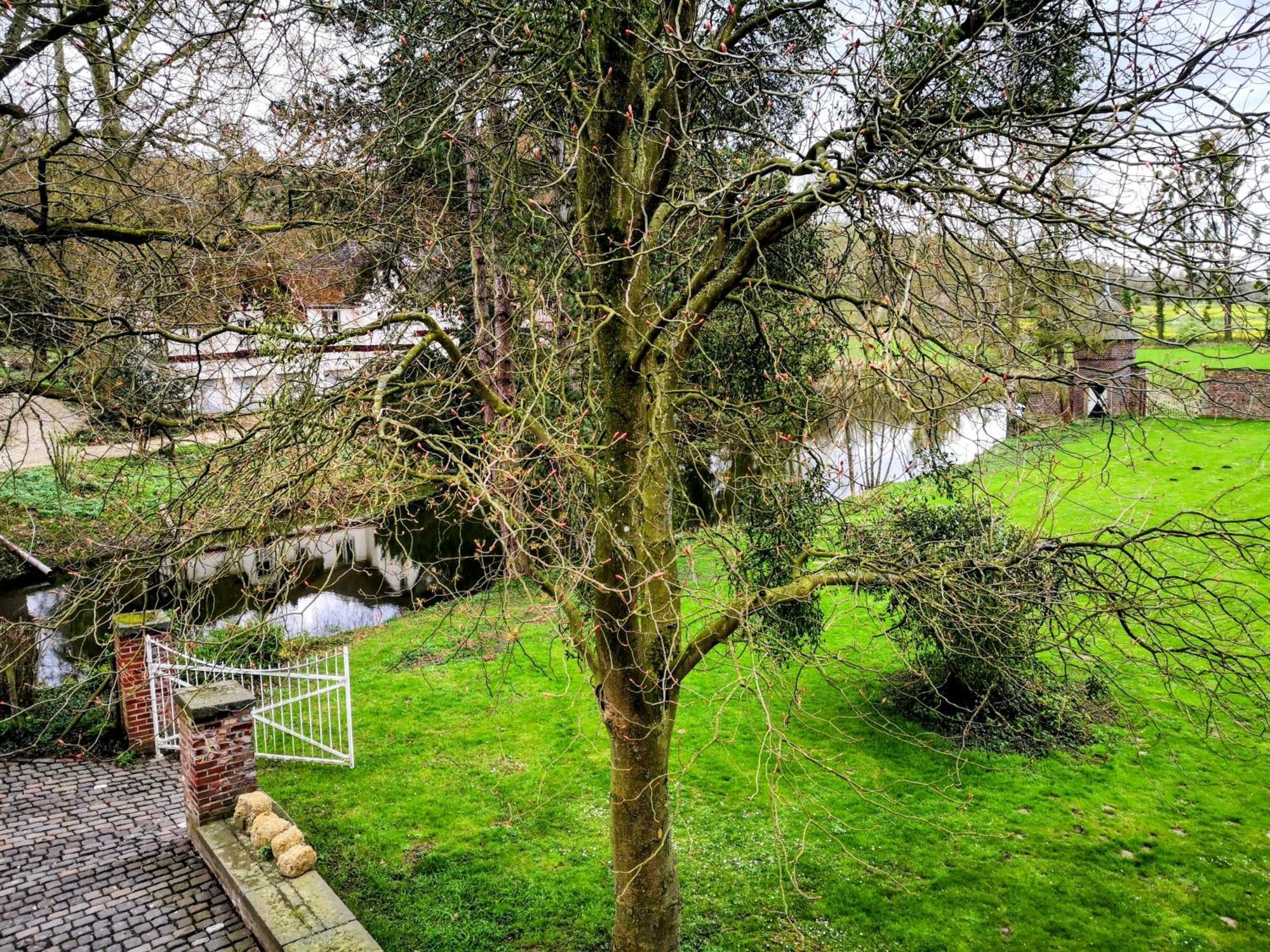 Apartments Am Schloss Rimburg Ubach-Palenberg Dış mekan fotoğraf